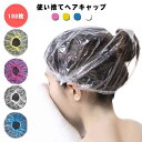 コスメ用品 使い捨てヘアキャップ 100枚 ヘアーカラー用 送料無料 ヘアーキャップ 髪染め用 使い捨てタイプ クリアシャワーキャップ 送料無料 透明 シャワーキャップ 美容用品 ヘアケア用品 レディースヘアケア(3)