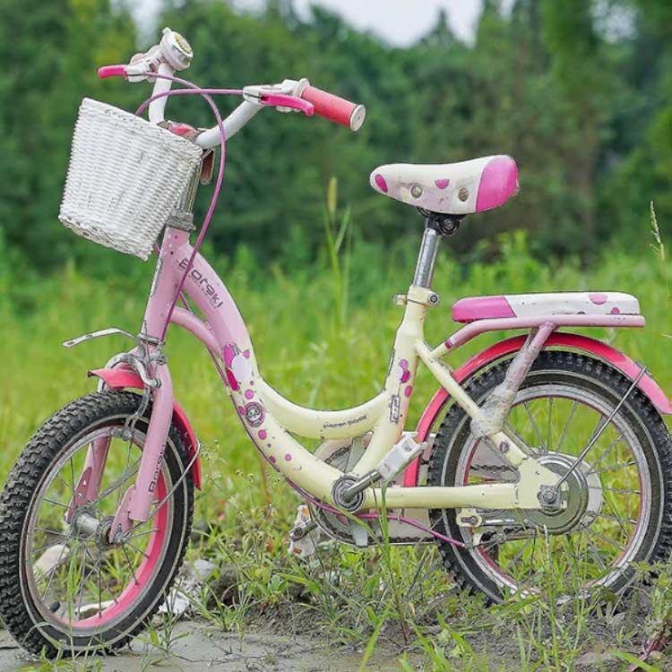 キックボード 前かご 自転車 前掛けカゴ 装着簡単 キックバイク 自転車 フロントバ...