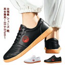22.5-27cm シューズ 朝練 靴 カンフーシューズ 太極拳 22.5-27cm カンフー 太極拳ウェア 男女兼用 体操 太極拳 シューズ 練習用 功夫靴 ...