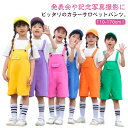 夏服 サロペットパンツ カラーパンツ 女の子 韓国子供服 男の子 キッズ オーバーオール 発表会 カラフル 幼稚園 保育園 サロペット 卒園式 演出服 応援団 ...