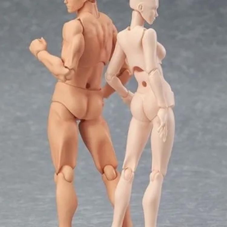 フィギュアモデル 男性 素体 ボディちゃん デ...の紹介画像2