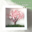 プリザーブドフラワー『ボックスフレーム~HARU~ 』(壁掛け用金具取付済み) 誕生日 贈り物 卒業 入学 記念日 母の日 敬老の日 プリザーブドフラワーアレンジメント プレゼント ギフト 枯れない 花 お祝い 春 桜