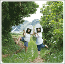CD『おにぎり』