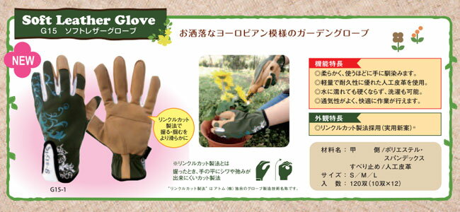 ������̵���ۥ����ǥ˥󥰼��� ���ȥ� ���եȥ쥶���������� G15��10�Х��åȡ۷ں�ȡ��������� �����