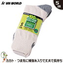 【送料無料】靴下 コットンソックス 991 先丸 5足組セット 綿100% メンズ ソックス