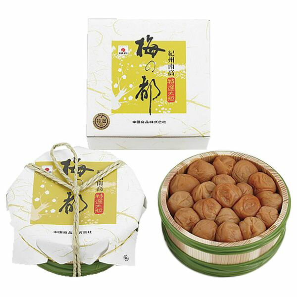 中田食品 紀州梅の都 500g 81 ギフト 贈り物 送料無料 【産直】[24]