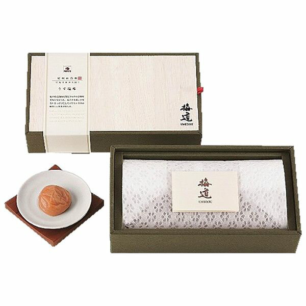 Rakuten - 中田食品 梅道 紀州南高梅 うす塩味 500g 255 ギフト 贈り物 送料無料 【産直】[24]