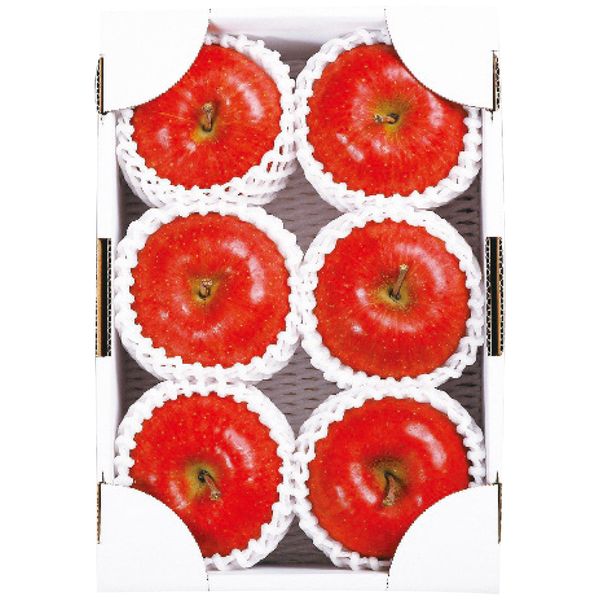 いずみ会の山形産サンふじ秀品約2kg ギフト お歳暮 送料無料[24]