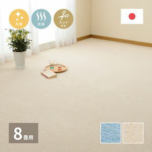 Character Pattern - ループパイルの平織カーペット ミーテ 江戸間 8帖（352×352）[00]