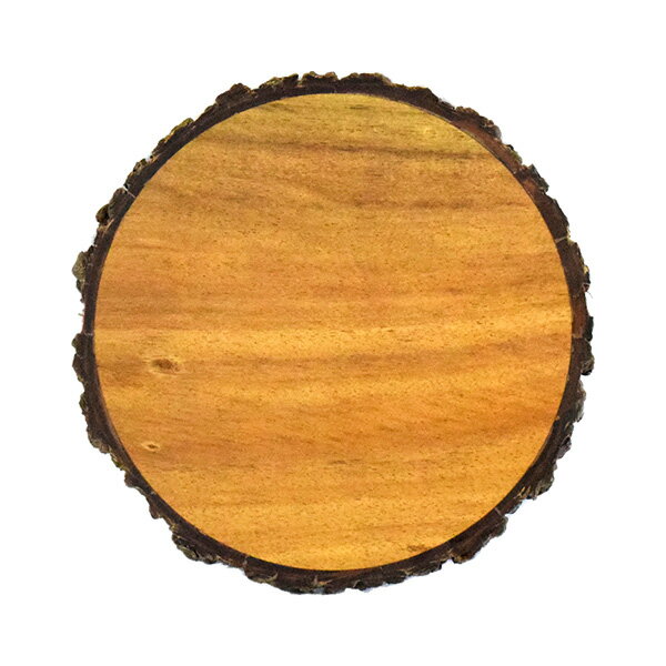 アカシア Konoka 土瓶敷き B19-10-2s【代引不可】 [01]