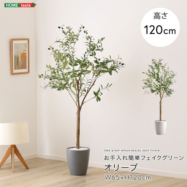 お手入れ簡単フェイクグリーン　オリーブ　Sサイズ(120cm)[03]
