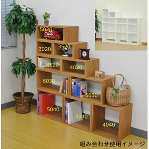 �����ץ��å������ƥ� �������ۥ磻�� ��Ω�� ��30 x ����30 x �⤵20 cm [27]