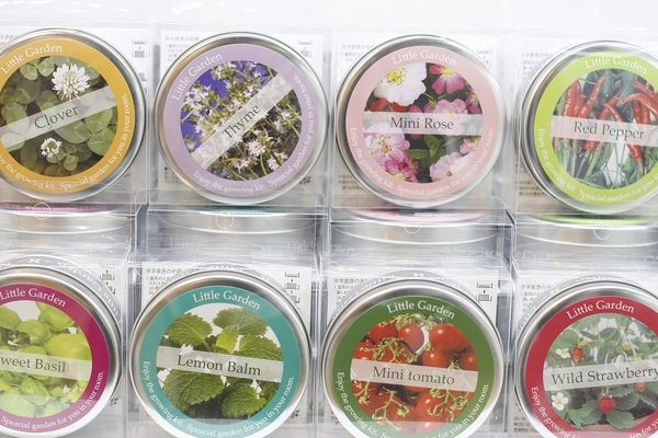 kagu*kagu 〜家具と雑貨のお店〜のNEWリトルガーデン　栽培キット　栽培セット【代引不可】[02]｜アングル2