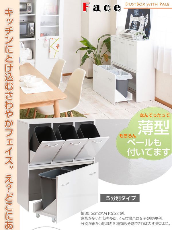 キッチンシリーズface ダストボックス 5分別 ゴミ箱 ホワイト [28] [2]