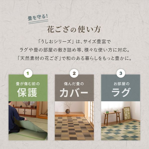 い草カーペット うしお 約261×352cm 江戸間 6畳 6帖 敷き詰め 柄上敷き 花ござ い草ラグ 和モダン 市松模様 萩原 [29] [3]