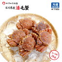 詰め合わせ 毛蟹 毛ガニ 硬蟹 活蟹 生かに (石川県産) 4~5匹 合計1.0kg 詰合せ 訳あり 小さめ 足折れ 雌雄混合 数量限定入荷！ 活きたままお届け可能 茹で蟹でもお届け可能 贈答 ギフト お取り寄せ 産地直送 送料無料