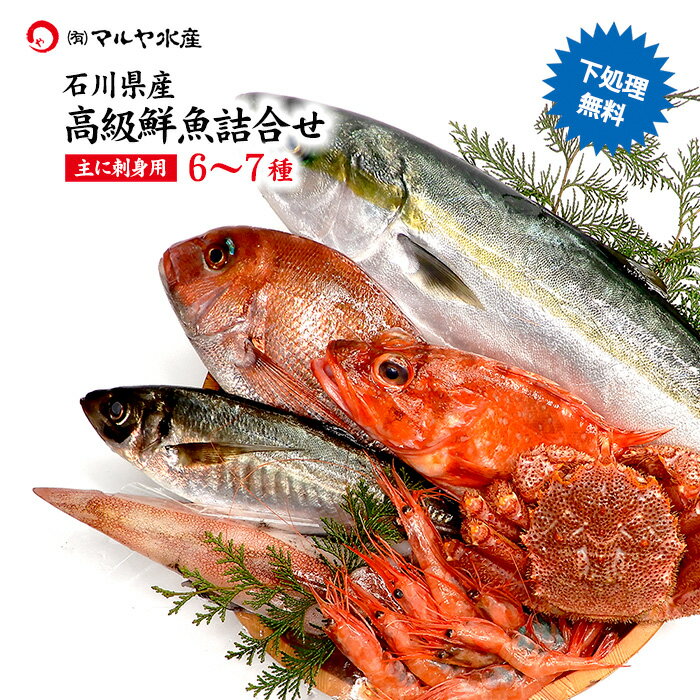 石川県 旬の魚 高級 鮮魚詰合せ お魚BOX 6〜7種 ( 主にお刺身用 下処理無料 冷蔵便 ) ※お届け日指定不可 贈答 ギフト 産地直送 お取り寄せ 送料無料