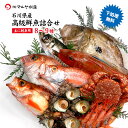 石川県 旬の魚 高級 鮮魚詰合せ お魚BOX 8〜9種 ( 主にお刺身用 下処理無料 冷蔵便 ) ※お届け日指定不可 贈答 ギフト 産地直送 お取り寄せ 送料無...
