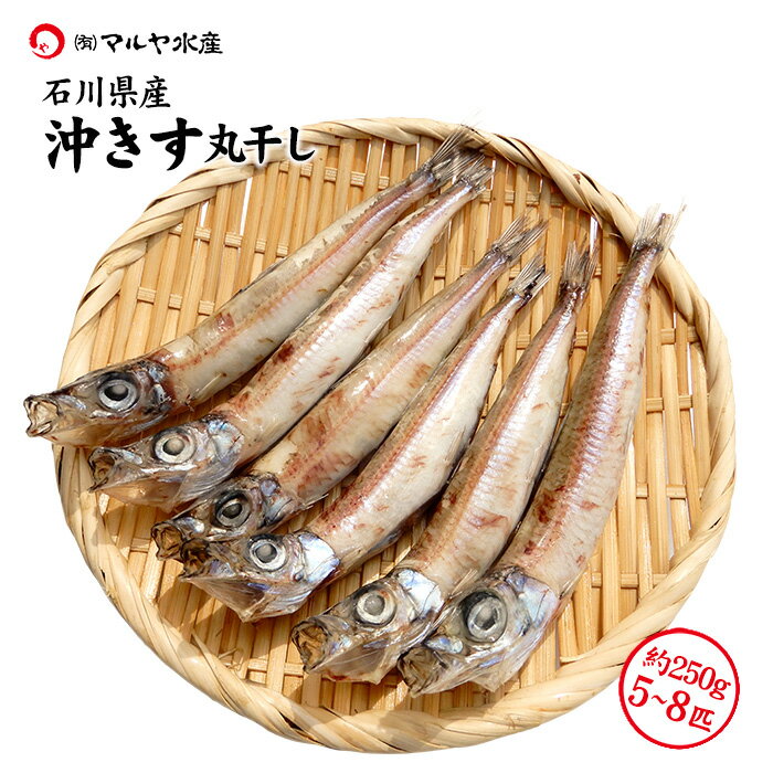 にぎす めぎす 沖きす 干物 一夜干し (石川県産 めぎす/沖きす) 250g 5〜8匹 産地直送 お取寄せ