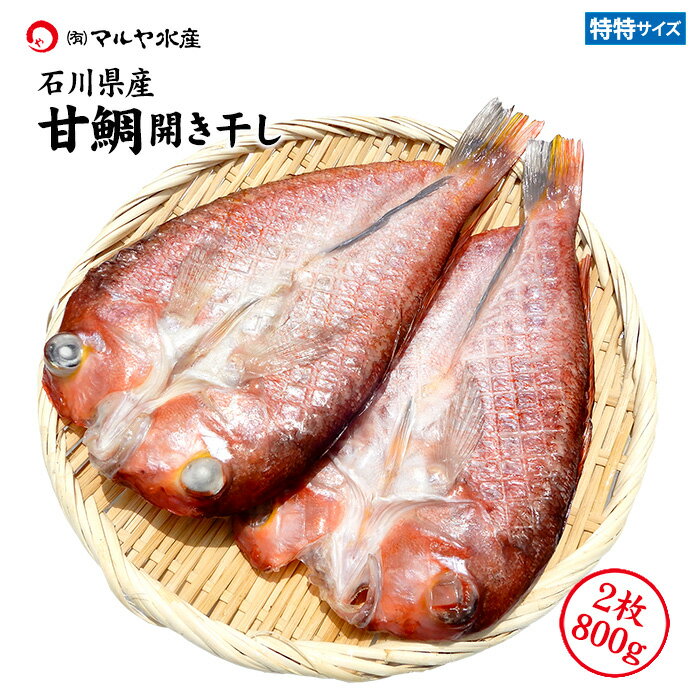 甘鯛 ぐじ 干物 一夜干し (石川県産) 特特大サイズ 2枚 約800g 産地直送 お取寄せ 送料無料