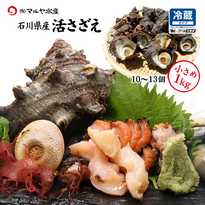    15kg ͹礻 ľ ¢  褵  ɿ ĤܾƤ BBQ 賭   ̵...