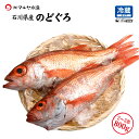 のどぐろ 石川県産 未冷凍 刺身用 2〜3匹 合計800〜1200g 産地直送 のど黒 ノドグロ 赤むつ アカムツ お取寄せ 送料無料 ※お届け日指定不可