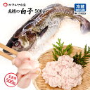 白子/真たち ( 真鱈 寒たら まだら ) 日本海産 生食用 500g ※お届け日指定不可