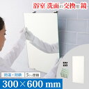 AGC(旭硝子) 浴室用化粧鏡
