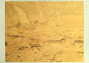 \今だけP2倍+送料無料!!/ ビンセント ヴァン ゴッホ【Vincent Van Gogh】 ポスター アート ポスター The Boat in