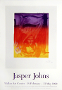 \今だけP2倍+送料無料!!/ ジャスパー ジョンズ【Jasper Johns】 ポスター アート ポスター Figure 7