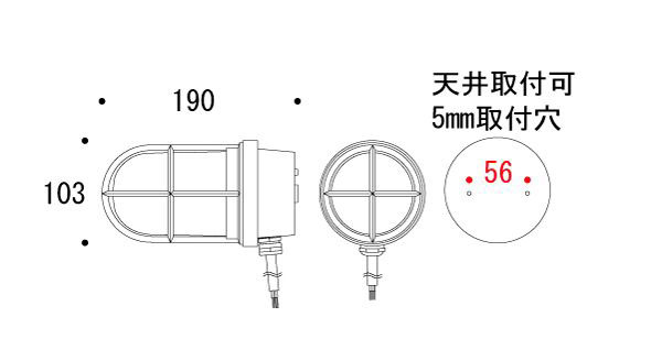����ȥ�󥹥饤�� ����ȥ�󥹾��� ��Ǯ�ŵ� ��Ǯ�� �饤�� �ŵ� ���� ���� �饤�� ������ ɽ���� ����饤�� ����ƥ����� ��ȥ� �̲� ����� ������� �������� ������ �ե���ƥꥢ ���ۤ� ����̵��
