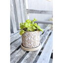 ポット (S) 4点入り ソーサー付き 鉢 鉢カバー 花 植物 植木 ポット 受け フラワースタンド フラワーラック プランターラック 花台 室内 玄関 庭 庭づくり ガーデニング 園芸 趣味 DIY 屋外 おしゃれ 北欧 アンティーク レトロ 夏休み 帰省 家具 鏡 送料無料