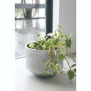 ポット (L) 2点入り 鉢 鉢カバー 花 植物 植木 ポット 受け フラワースタンド フラワーラック プランターラック 花台 室内 玄関 庭 庭づくり ガーデニング 園芸 趣味 DIY 屋外 おしゃれ 北欧 アンティーク レトロ 七夕 お中元 結婚 家具 送料無料