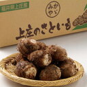 15-1大野の里いも10kgL煮崩れしない、煮っころがし、おでんに最適!おいしい 福井県 福井 お土産 特産物歳暮 お歳暮 贈り物