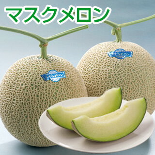 3-1 福井あわら マスクメロン 3玉入【ギフト】【送料込】