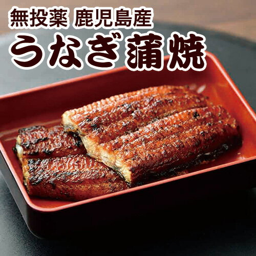 8-2 丸海 無投薬 鹿児島産 うなぎ蒲焼小袋タレ付おいしい お土産 ウナギ 鰻 蒲焼