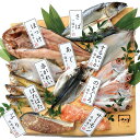 10-6 干物セット「華」 【冷凍】福井で採れた新鮮な魚を干物にし、セットにしてあります。【送料込】福井県 お土産 特産物ギフト 贈答 おいしい 特産品 土産
