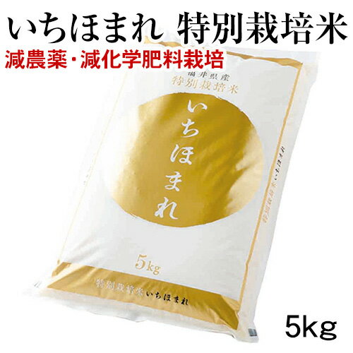 Rakuten - 14-2 いちほまれ 特別栽培米5kg減農薬・減化学肥料栽培化粧箱なし 福井県 お土産 特産物おいしい 米 土産贈り物
