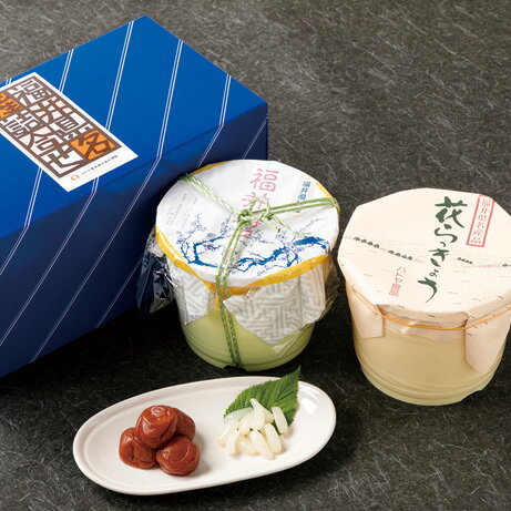 13-10 花らっきょう&梅干し樽入ギフトおいしい 福井県 福井 お土産 特産物らっきょう 梅干歳暮 お歳暮 贈り物