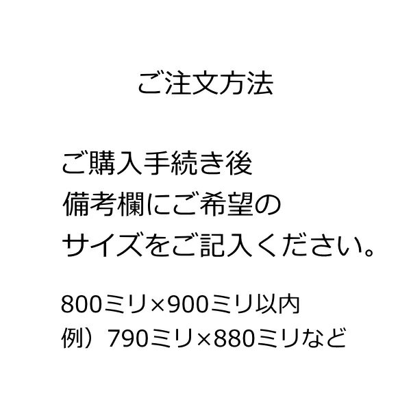 霞4ミリガラス800ミリ×900ミリ以内で1枚...の紹介画像2