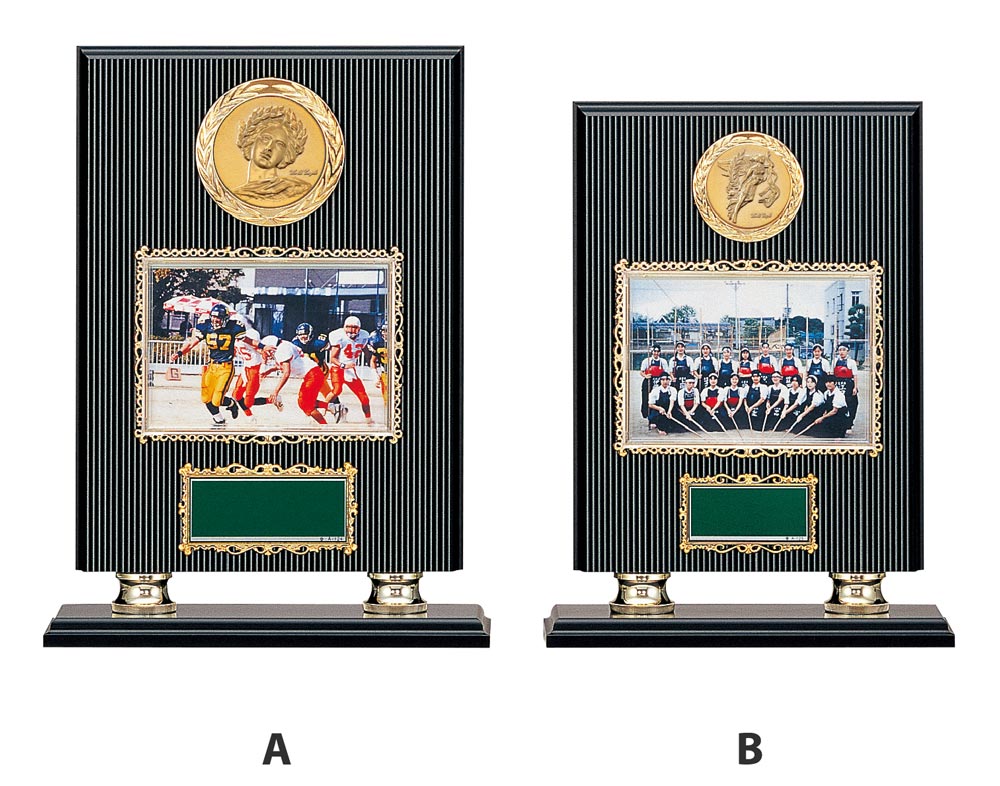 【プレート彫刻無料】レリーフ選択フォトフレーム楯BM-8872-A（0）　表彰　記念品　レプリカ