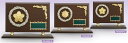 【プレート彫刻無料】消防楯RS-6340-B 表彰 退職記念品 退団記念品