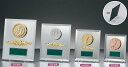 【プレート彫刻無料】ガラスミラー製楯S-6138-C 表彰 記念品 賞品 レプリカ