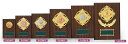 【プレート彫刻無料】レリーフ選択楯S-6246-B 表彰 記念品 賞品 レプリカ