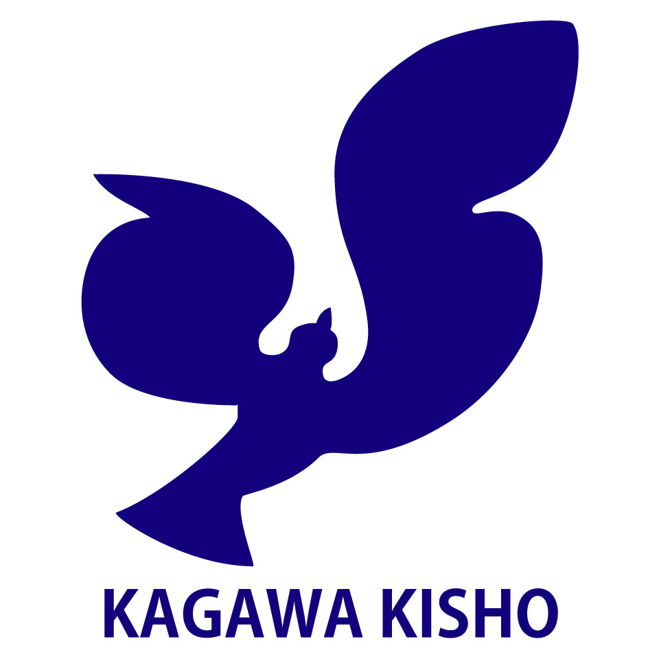 Shop icon