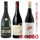 【贈り物にも】【送料無料】第106弾・赤ワイン3本!!送料無料でお届け致します。【クール便指定の場合は別途料金が必要】