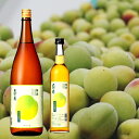 石川県は白山市にある車多酒造天狗舞 梅酒(数量限定梅酒) l