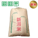 ＜予約受付＞【令和2年産】新潟県産 こしいぶき 25kg(玄米)【送料無料(一部地域除く)】