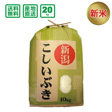 【在庫処分セール】【令和2年産】新潟県産 こしいぶき 20kg(精米)【送料無料(一部地域除く)】
