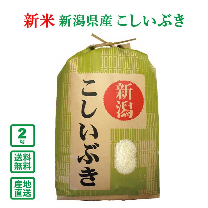 【新米】【令和4年産】初回購入限定！新潟県産 こしいぶき 2kg(精米)【送料無料(一部地域除く）】